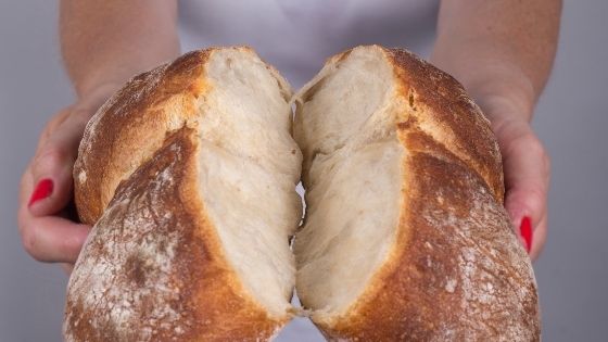 masa madre