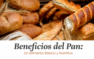 Beneficios del Pan: Un Alimento Básico y Nutritivo
